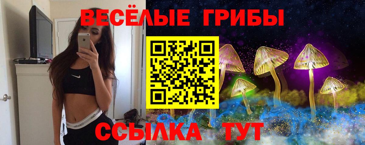 Псилоцибиновые грибы MAGIC MUSHROOMS Копейск