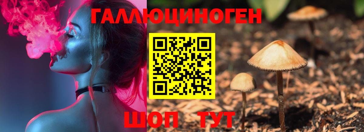 Копейск  Псилоцибиновые грибы Psilocybe  Вход с VPN 